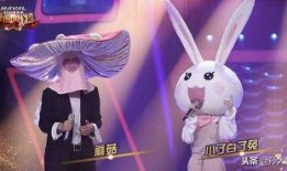 爆料网红兔子视频大全集,萌宠欢乐时光回顾