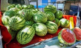 福山网红吃瓜事件真相视频,揭秘真相背后的惊人内幕